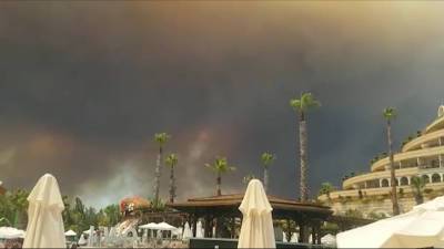 Лесной пожар в Анталье: Ростуризм рекомендовал отдыхающим не покидать отели