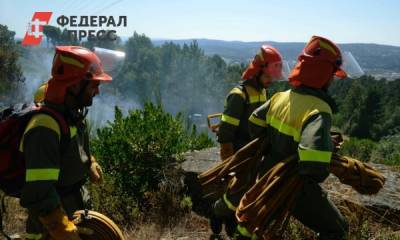 В Турции во время лесного пожара погиб человек