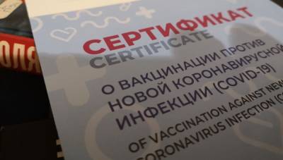 Почти тысячу сайтов, продающих поддельные сертификаты о вакцинации, заблокировали в России