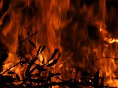 Сильный лесной пожар в Анталье привел к гибели одного человека, более 60 пострадали