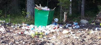 Неубранный мусор встречает туристов по дороге к «Бесовым следкам» в Карелии (ФОТО)
