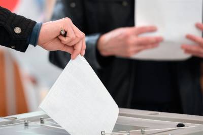 Наблюдателей на выборах в Ульяновской области подготовит Общественная палата