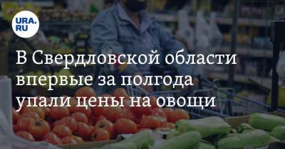 В Свердловской области впервые за полгода упали цены на овощи