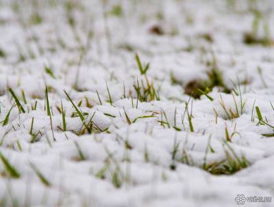 Снег выпал в Магаданской области