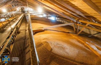 В ГПЗКУ выявили хищения зерна на 15 млн грн