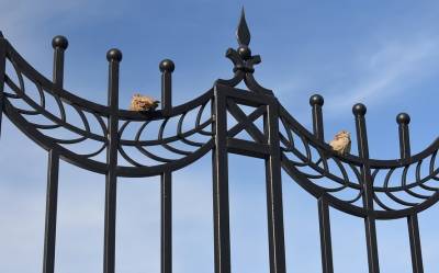 Похититель кладбищенской ограды задержан в Липецкой области