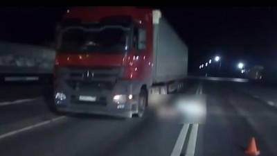 На трассе в Башкирии мужчина погиб под колёсами грузовика
