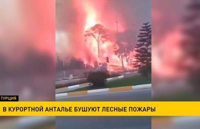 Лесные пожары бушуют в турецкой Анталье