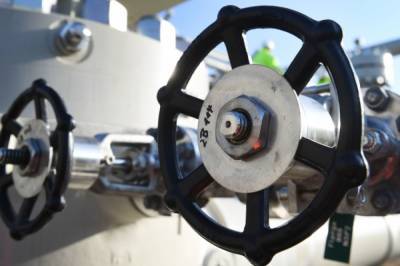 «Ъ»: спотовые цены на газ поднялись до рекордной отметки