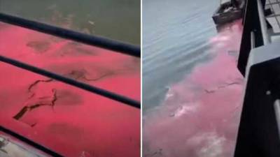 В Мариуполе в Азовское море вылили опасную краску