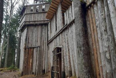 Средневековая сказка: в лесах Карельского перешейка появилась деревянная крепость