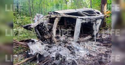 BMW вылетел с трассы в Подмосковье и полностью сгорел, погибли трое