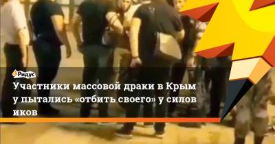 Участники массовой драки вКрыму пытались «отбить своего» усиловиков