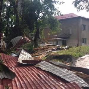 Во Львовской области ураган вырывал деревья с корнями. Видео