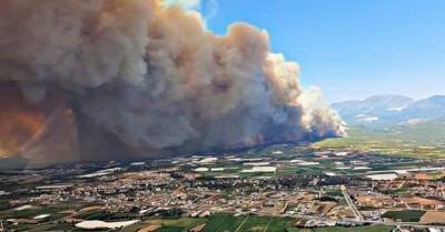 Крупный лесной пожар возник в турецкой Анталье: есть жертвы (ВИДЕО)