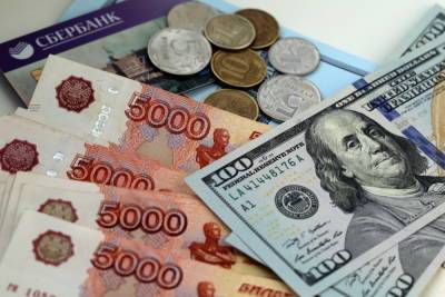 У нелегальных банкиров в Петербурге изъяли 40 тыс евро и 21,5 млн рублей