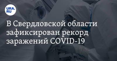 В Свердловской области зафиксирован рекорд заражений COVID-19