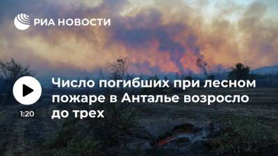 Управление по ЧС Турции: число погибших при крупном лесном пожаре в Анталье возросло до трех