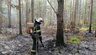 В Тверской области продолжаются природные пожары