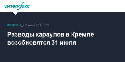 Разводы караулов в Кремле возобновятся 31 июля