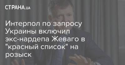 Интерпол по запросу Украины включил экс-нардепа Жеваго в "красный список" на розыск