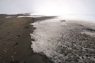 Сейсмолог объяснил сообщения из США об угрозе цунами на Аляске