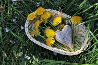 Медики назвали растение, которое поможет поддержать здоровье сердца - lenta.ua - Украина