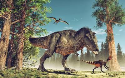 В Баварии обнаружена челюсть динозавра возрастом 230 миллионов лет