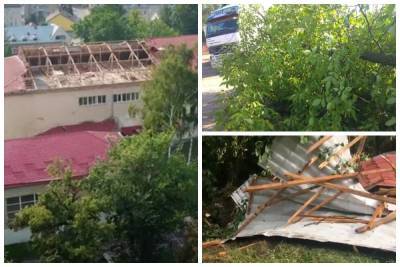 Ветер поднял в воздух крыши домов и валил деревья: кадры непогоды в Украине