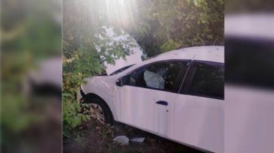В ДТП с деревом в Воронеже пострадала 15-летняя девочка