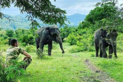 В Сочи открыли санаторий для цирковых слонов