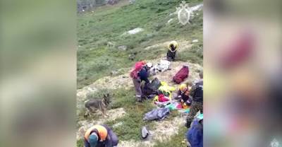 В парке "Ергаки" нашли тело туриста, которого задрал медведь