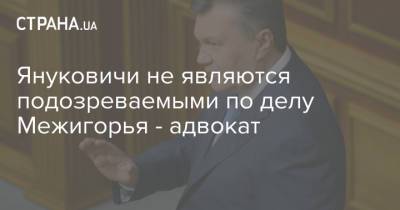 Януковичи не являются подозреваемыми по делу Межигорья - адвокат