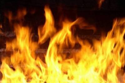 В результате лесного пожара в Анталье погибли три человека