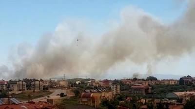 В РСТ рассказали о ситуации с путевками в Турцию из-за лесных пожаров