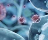 Найдены потенциальные «ворота» в мозг для коронавируса