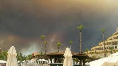 В турецком Мармарисе началась эвакуация отелей из-за лесных пожаров