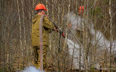В Тверской области сохраняется высокая пожарная опасность