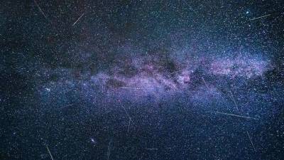 Московский планетарий сообщил, что москвичи смогут увидеть ночной звездопад