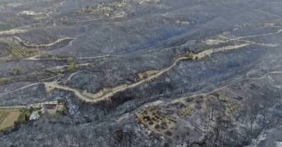 В Турции начали эвакуацию туристов из-за лесных пожаров