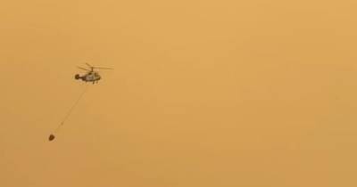 «Над морем летают вертолёты, на пляже пепел и запах гари»: что происходит в полыхающей Турции (фото, видео)