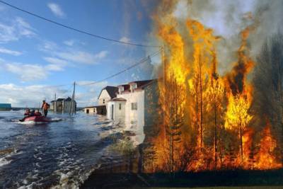 Коронавирус, пожары, наводнения: что ожидает человечество дальше