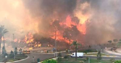 Курорты Турции охвачены пожарами: число жертв растет, туристов эвакуируют из отелей (ФОТО)