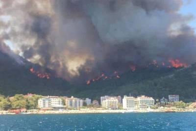В Турции лесные пожары вспыхнули в Бодруме