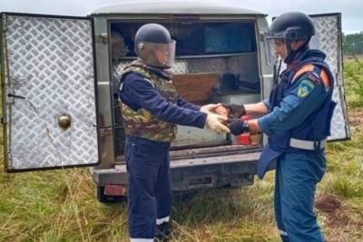 В Тверской области нашли 10 взрывоопасных предметов времен войны