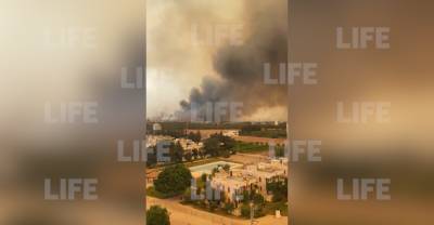 Посольство РФ: Централизованной эвакуации из отелей в горящем Мармарисе нет