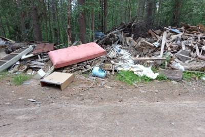 Жители Зеленоборского обеспокоены мусорными свалками в своем поселке