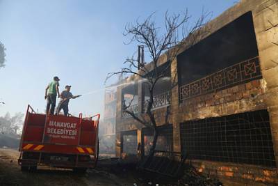 Названо число пострадавших из-за лесных пожаров в Турции