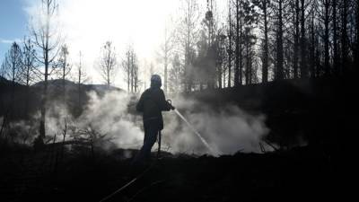 Количество пострадавших из-за лесных пожаров в Турции возросло до 180 человек