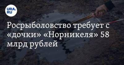 Александр Кулаковский - Росрыболовство требует с «дочки» «Норникеля» 58 млрд рублей - ura.news - Красноярский край